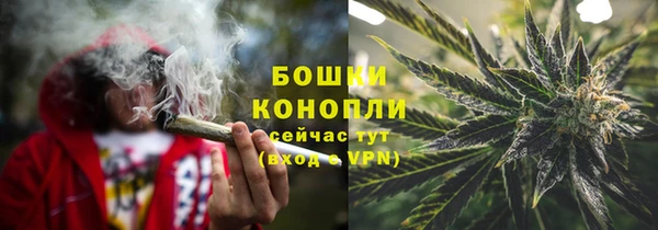 стафф Новозыбков