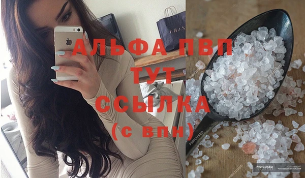 хмурый Нефтекумск