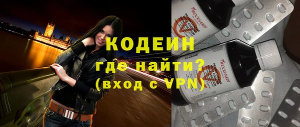 apvp Дмитриев