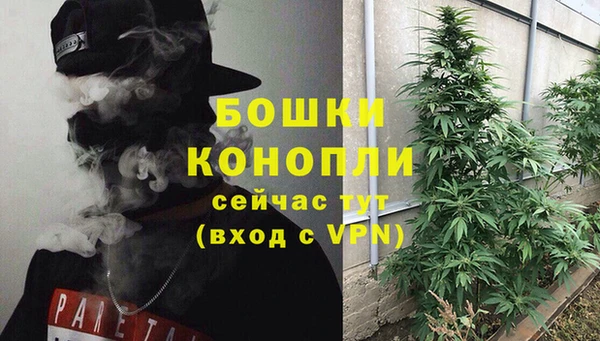 стафф Новозыбков