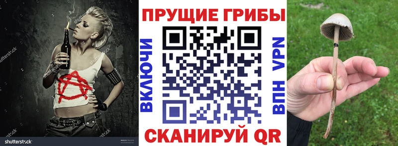 мега tor  цена   Окуловка  Псилоцибиновые грибы GOLDEN TEACHER 